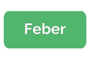 Ремонт сигвеев Feber