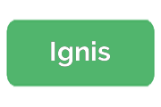 Ремонт духовых шкафов Ignis