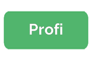 Ремонт Profi