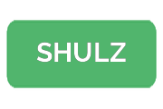 Ремонт электросамокатов SHULZ